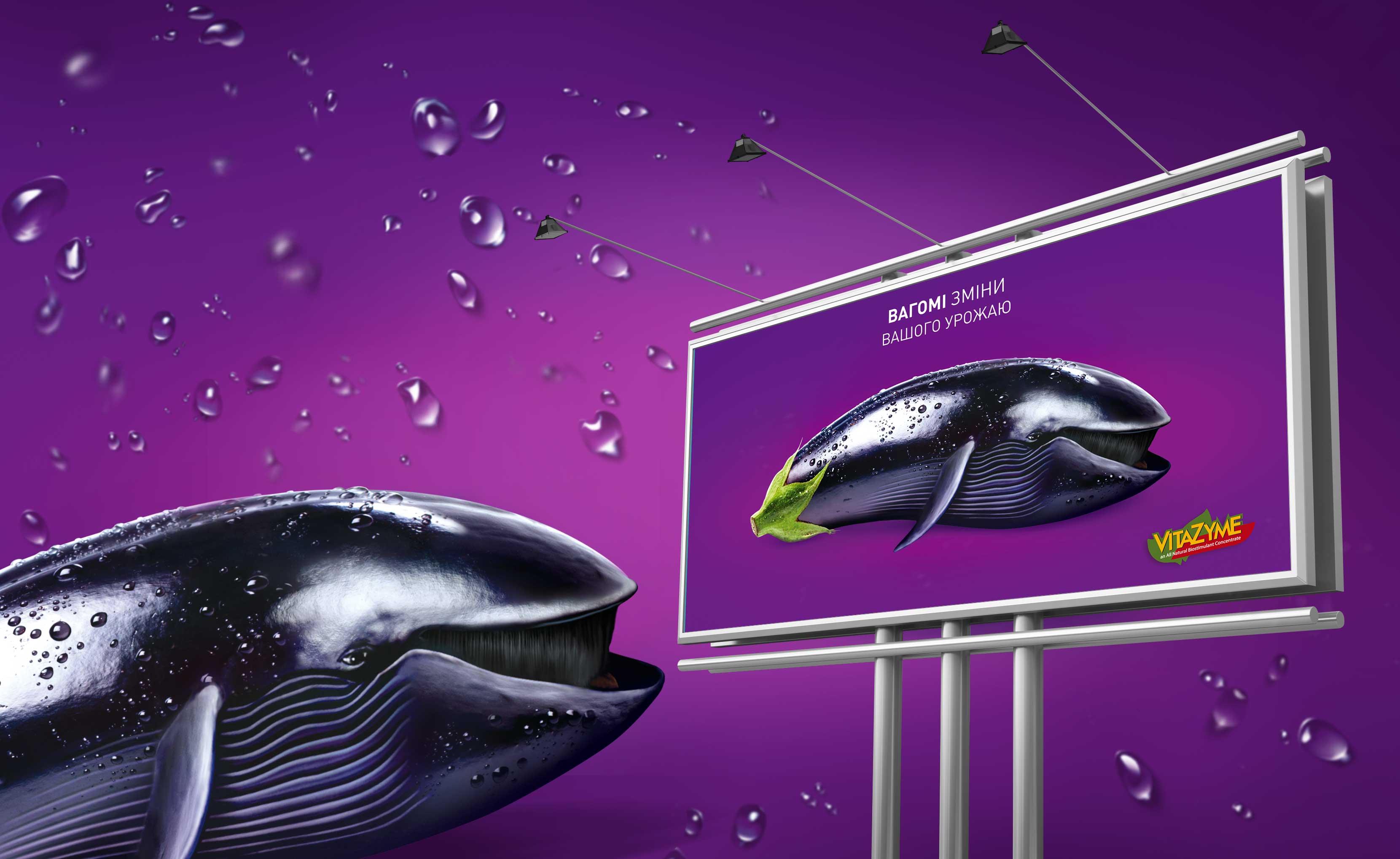 Advertising campaign for TM Vitazyme